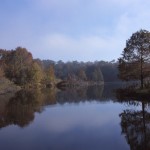 Biodiversity & Conservation