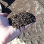 Composting