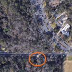 Harmonic Woods Clean Up & Invasive Plant Removal – March 24