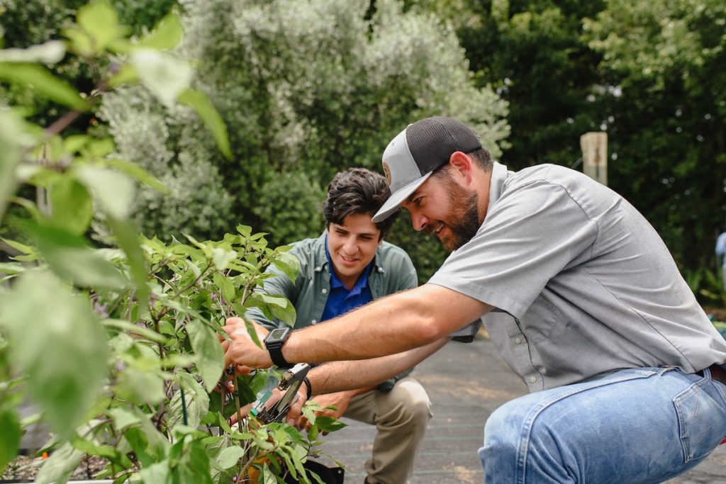 2 people outside working with plants. 