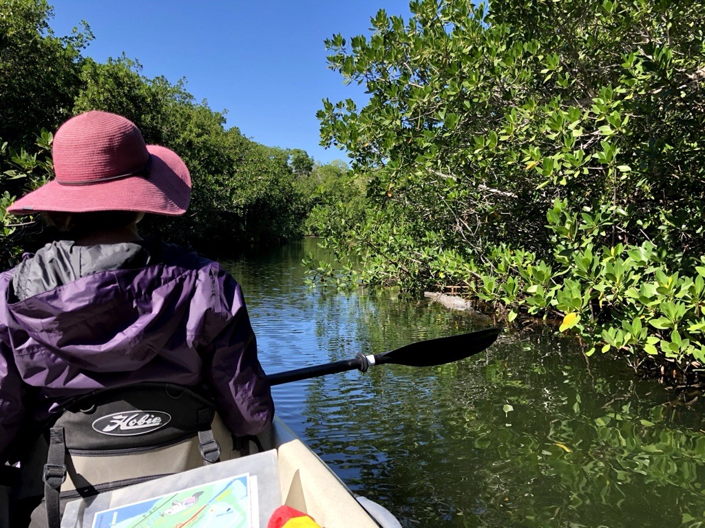 Woman kayaking in the water near trees