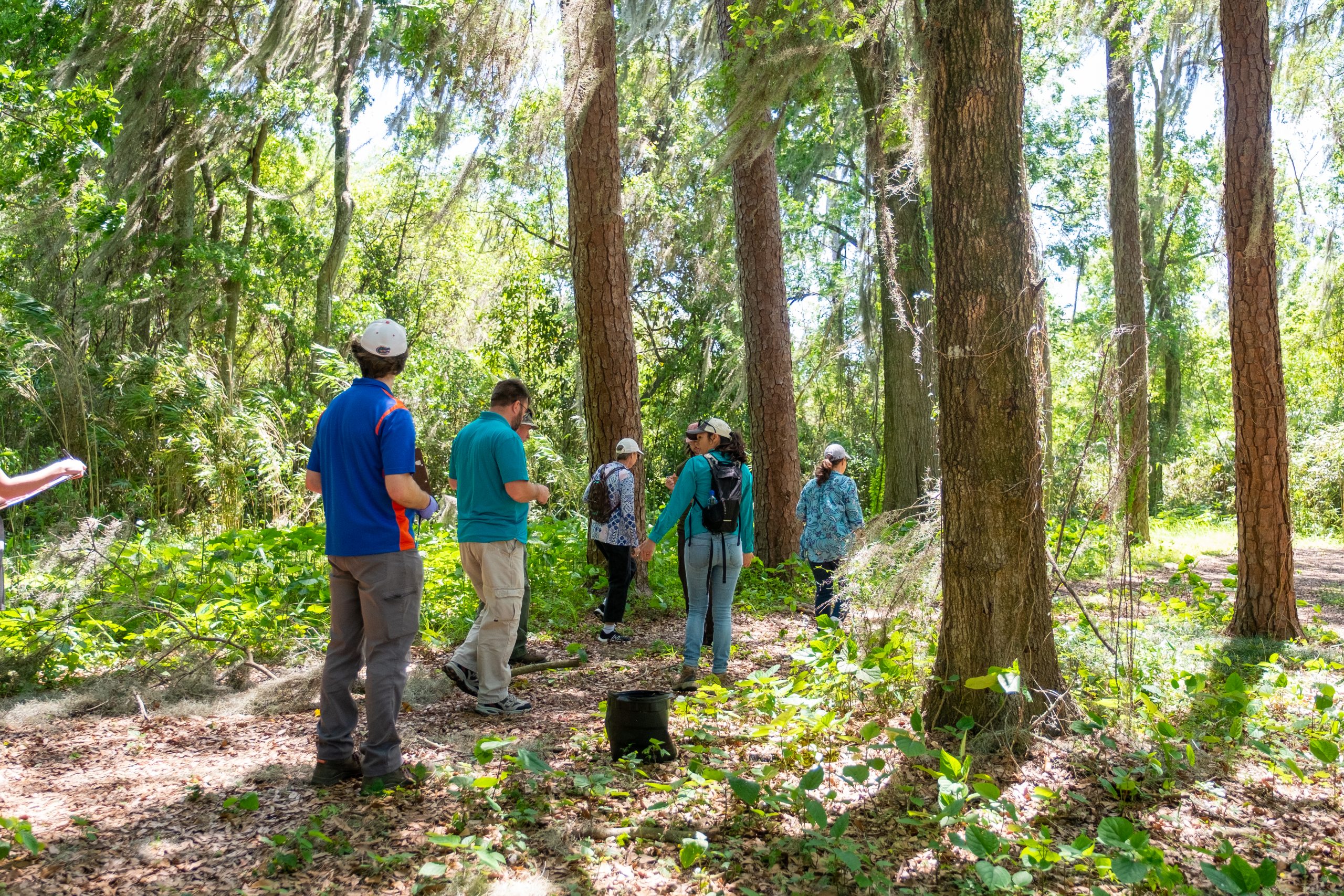 Land & Conservation
