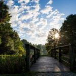 The bridge at Lake Alice with the sunrise in the background