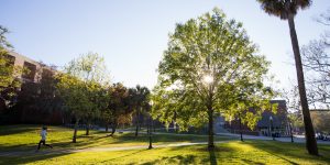 A student jogs on the UF main campus