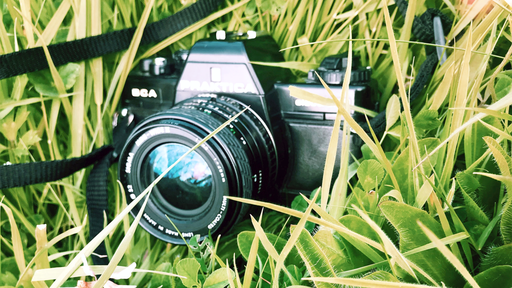 A camera in grass