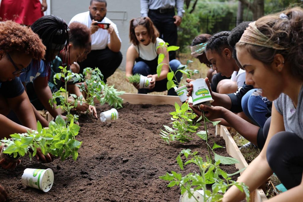 Students are crouched around the permimiter of an empty garden box. They are each removing a plant from its container in order to begin planting them in the empty garden box.