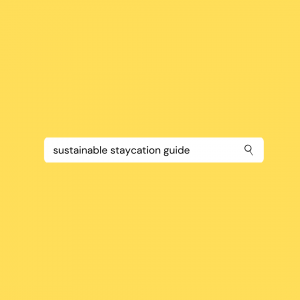 Digital Art: yellow flat background with a search bar, the words "sustainable staycation guide" in the search bar