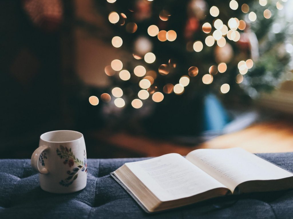 Mug and book in front of holiday decor, showing low waste activities. 