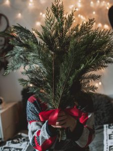 Person holding holiday tree branches 