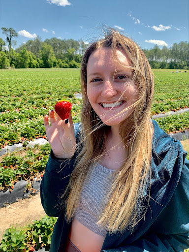 UF student Shayna Morgan holds a strawberry. 