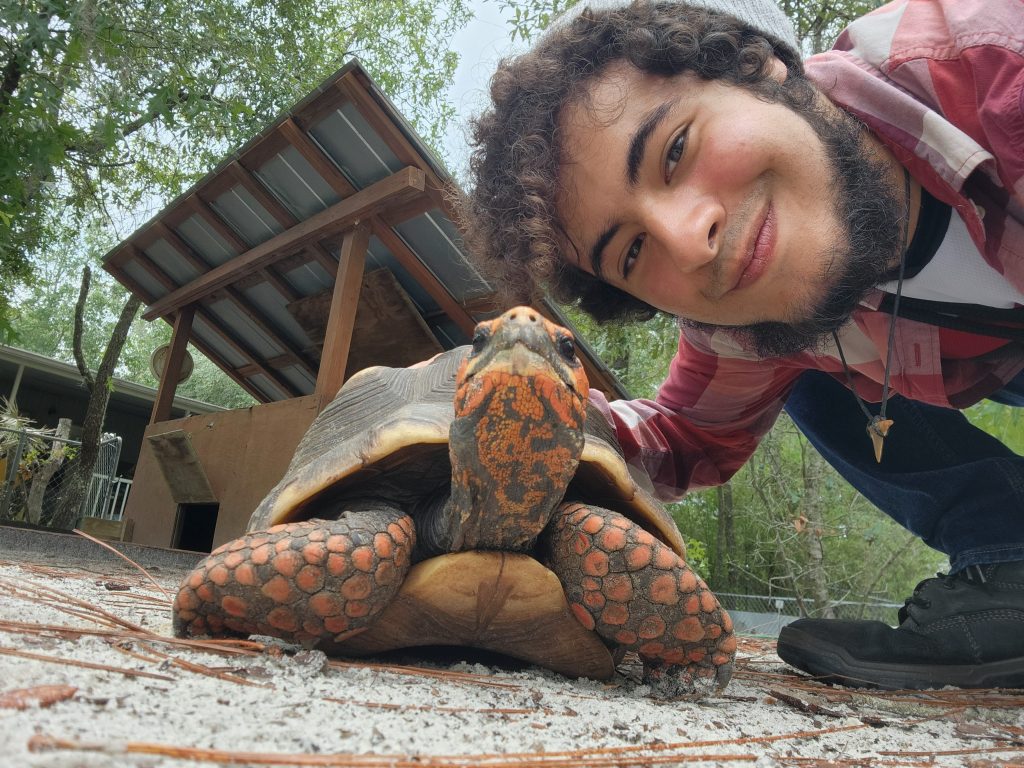 UF student Chris Landaeta with a turtle, showing engaging with environmentalism. 